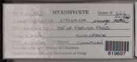 Image Associated With the Occurence